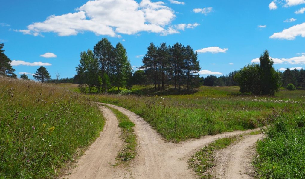 Wiejski krajobraz z skrzyżowaniem na wzgórzu w lesie. Dwa różne kierunki. Koncepcja wyboru właściwej drogi. Prawa i lewa ścieżka. Rozwidlenie rozwidlenia dróg. Piękna letnia sceneria.