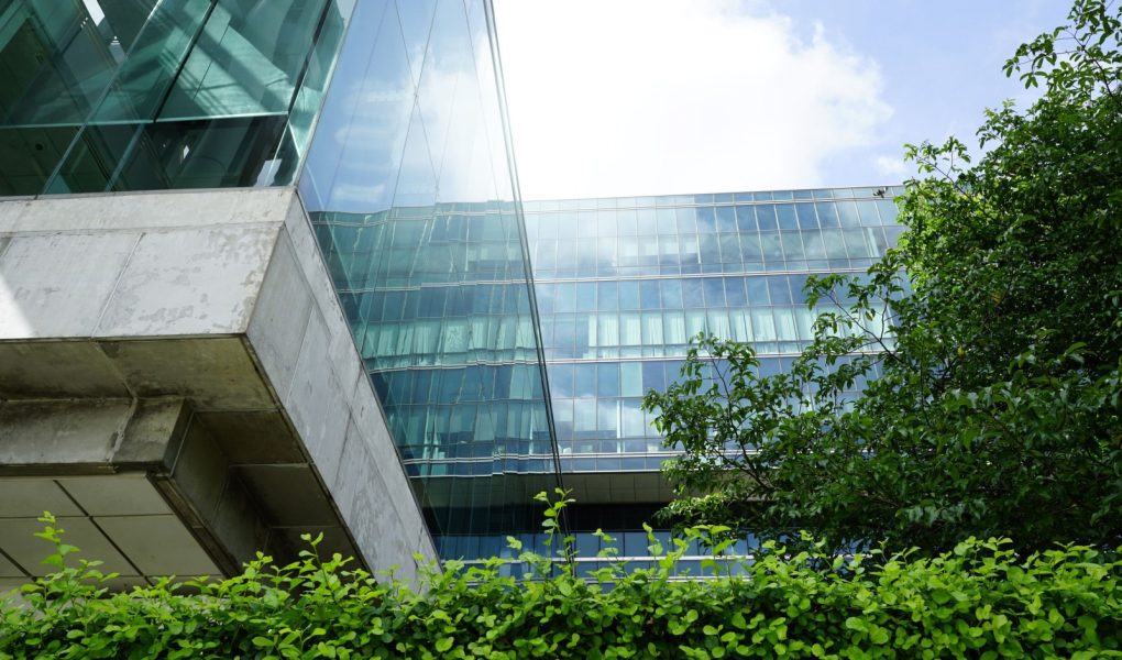 Zrównoważony zielony budynek. Ekologiczny budynek w nowoczesnym mieście. Zrównoważony szklany budynek biurowy z drzewem redukującym dwutlenek węgla. Biuro z zielonym środowiskiem. Budynek korporacyjny redukuje CO2.