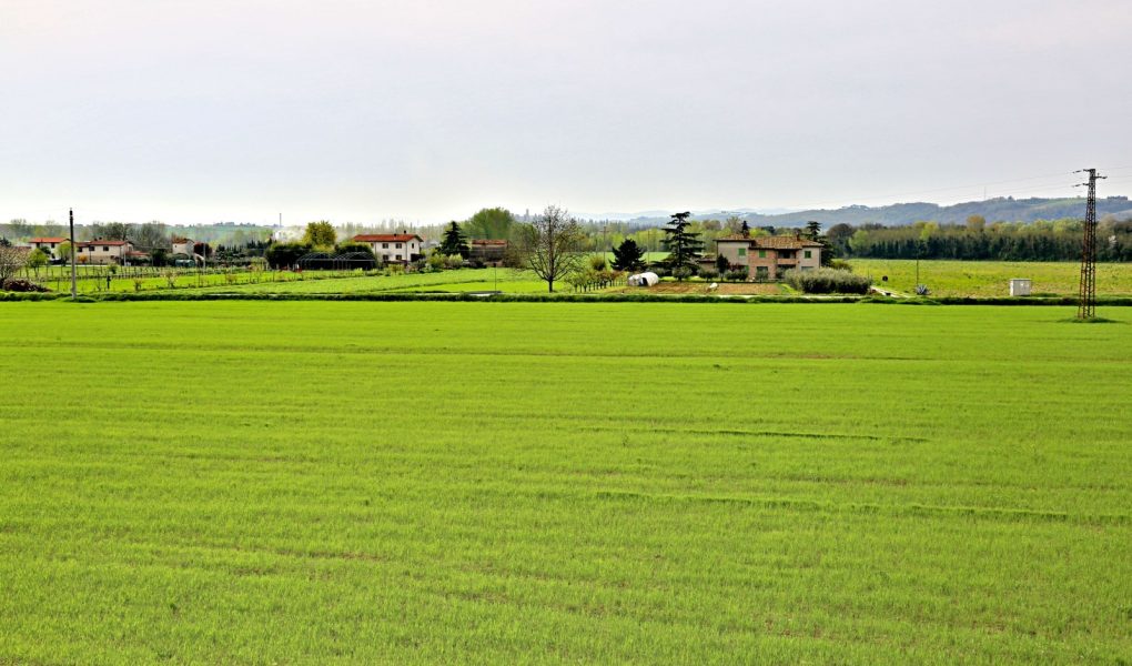 Działka rolna z zabudowaniami w Europie