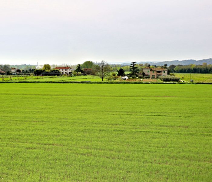 Działka rolna z zabudowaniami w Europie