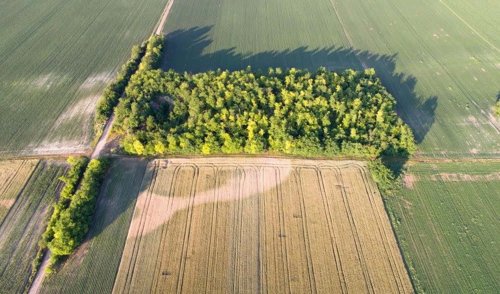 Widok z lotu ptaka na równiny z działkami różnych upraw wczesnym latem