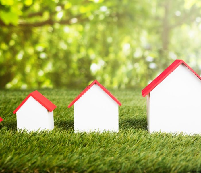 Różne rozmiary domów ułożonych w rzędzie na trawiastym polu