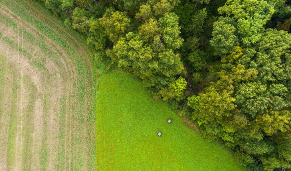 Dron z lotu ptaka przedstawiający abstrakcyjne geometryczne kształty zielonego trawnika rolniczego z belami słomy i zaoranym polem kukurydzy lub żyta oraz jesiennym lasem. Działki rolne. Żniwa na gruntach ornych, sezon zbiorów