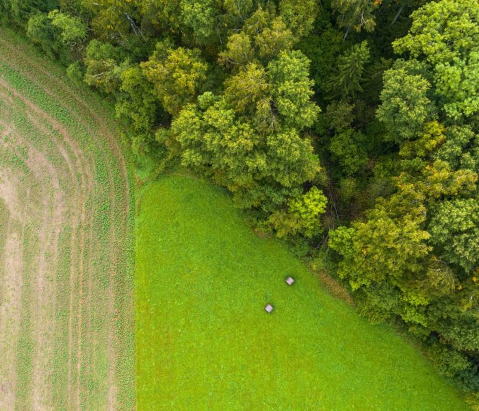 Dron z lotu ptaka przedstawiający abstrakcyjne geometryczne kształty zielonego trawnika rolniczego z belami słomy i zaoranym polem kukurydzy lub żyta oraz jesiennym lasem. Działki rolne. Żniwa na gruntach ornych, sezon zbiorów
