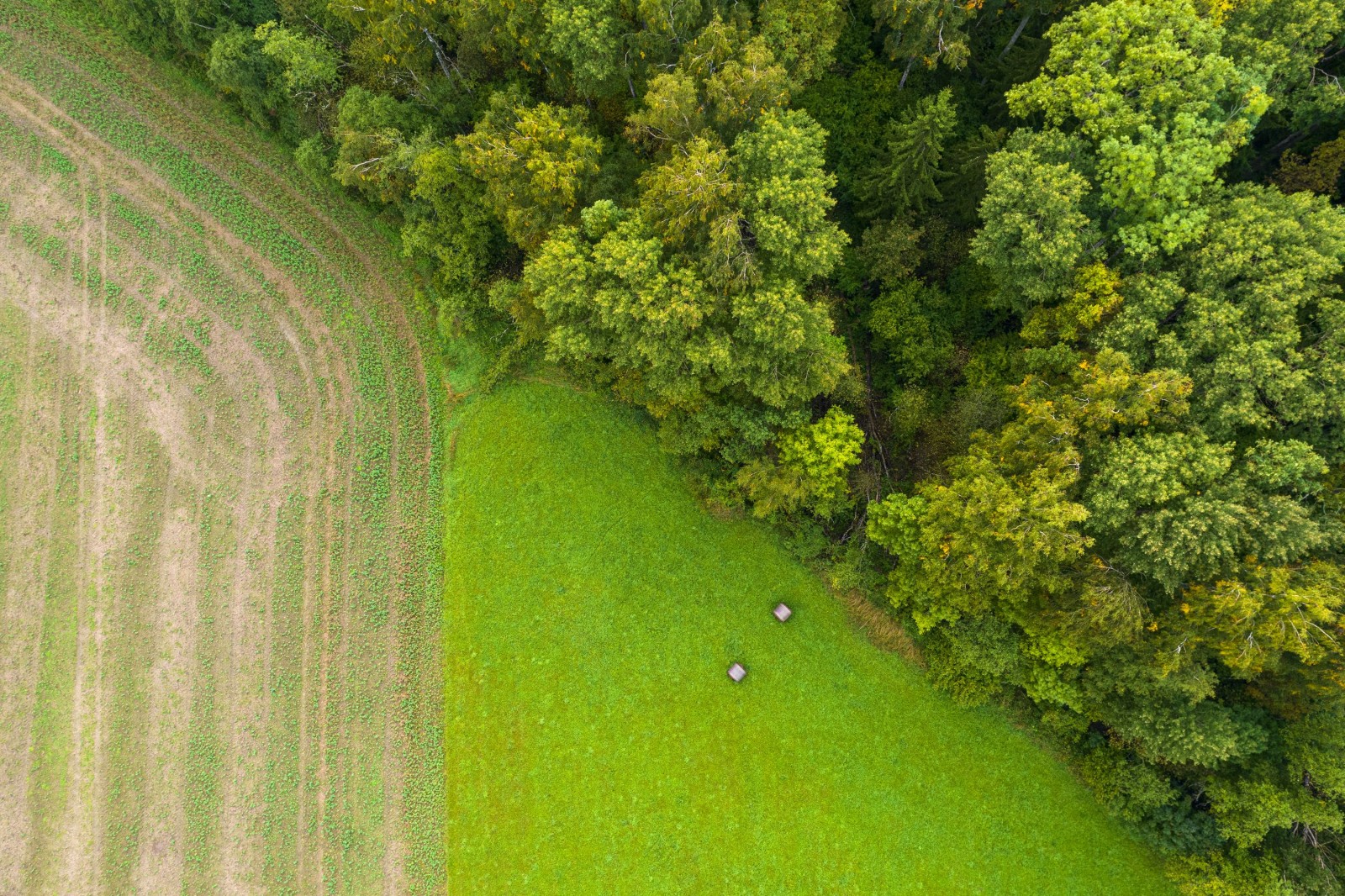 Dron z lotu ptaka przedstawiający abstrakcyjne geometryczne kształty zielonego trawnika rolniczego z belami słomy i zaoranym polem kukurydzy lub żyta oraz jesiennym lasem. Działki rolne. Żniwa na gruntach ornych, sezon zbiorów