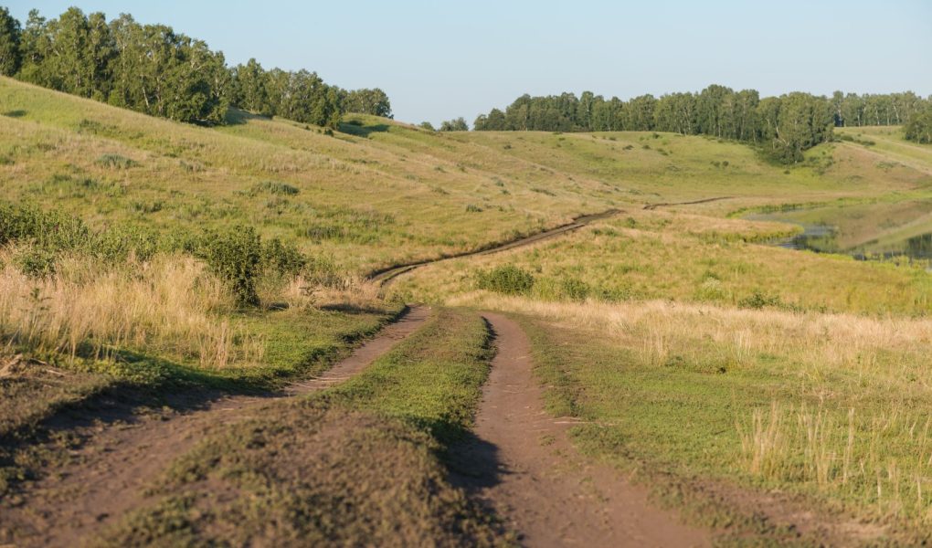 Droga wiejska. Droga przez pole. Zakurzona droga. Wycieczka piesza. Spacer w pobliżu lasu. Wiejska droga