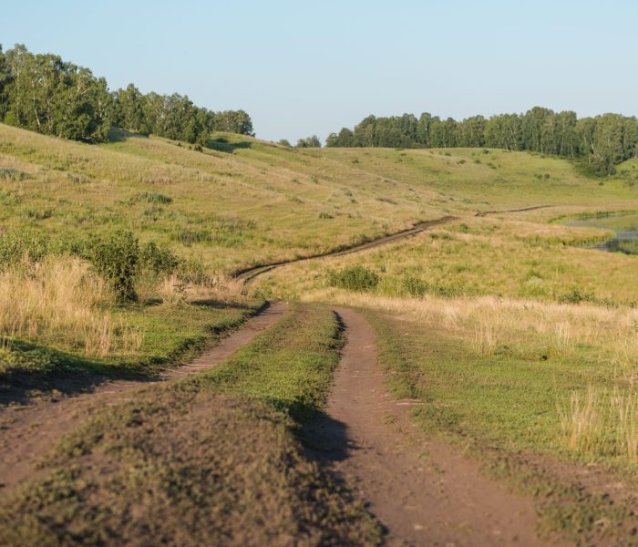 Droga wiejska. Droga przez pole. Zakurzona droga. Wycieczka piesza. Spacer w pobliżu lasu. Wiejska droga