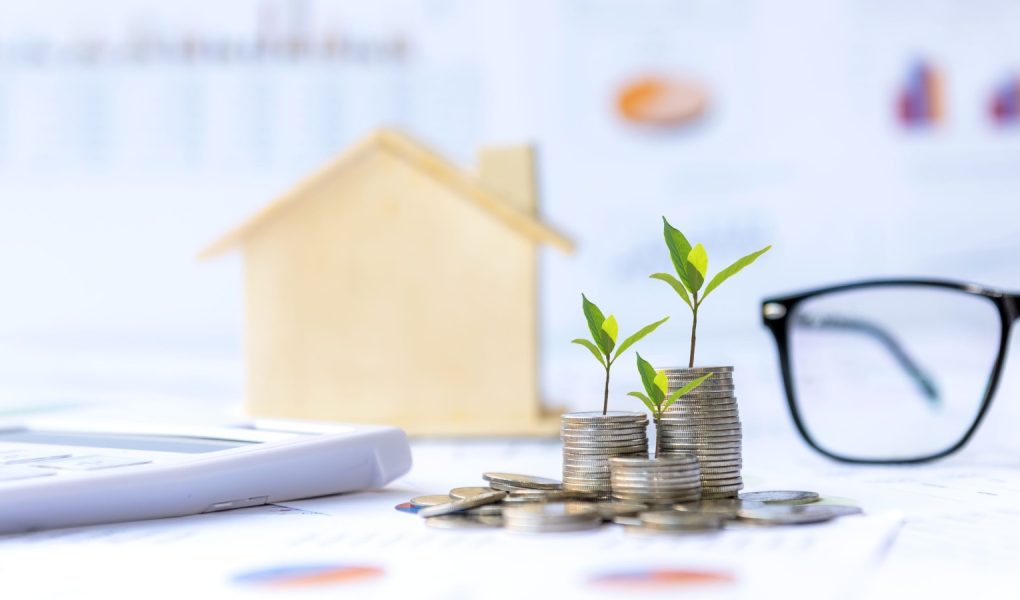 Inwestor nieruchomości. Rośliny rosnące na stosie monet pieniężnych na inwestycje w domu zielone tło natury. Inwestycyjny fundusz hipoteczny finansowanie i oprocentowanie kredytu mieszkaniowego. Koncepcja inwestycji