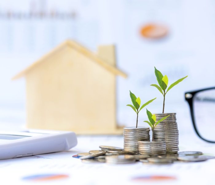 Inwestor nieruchomości. Rośliny rosnące na stosie monet pieniężnych na inwestycje w domu zielone tło natury. Inwestycyjny fundusz hipoteczny finansowanie i oprocentowanie kredytu mieszkaniowego. Koncepcja inwestycji