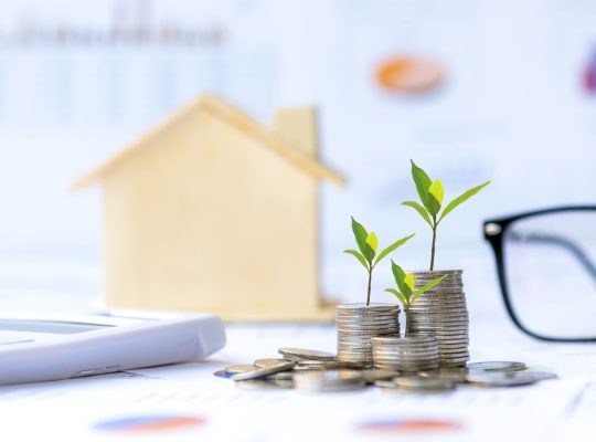 Inwestor nieruchomości. Rośliny rosnące na stosie monet pieniężnych na inwestycje w domu zielone tło natury. Inwestycyjny fundusz hipoteczny finansowanie i oprocentowanie kredytu mieszkaniowego. Koncepcja inwestycji